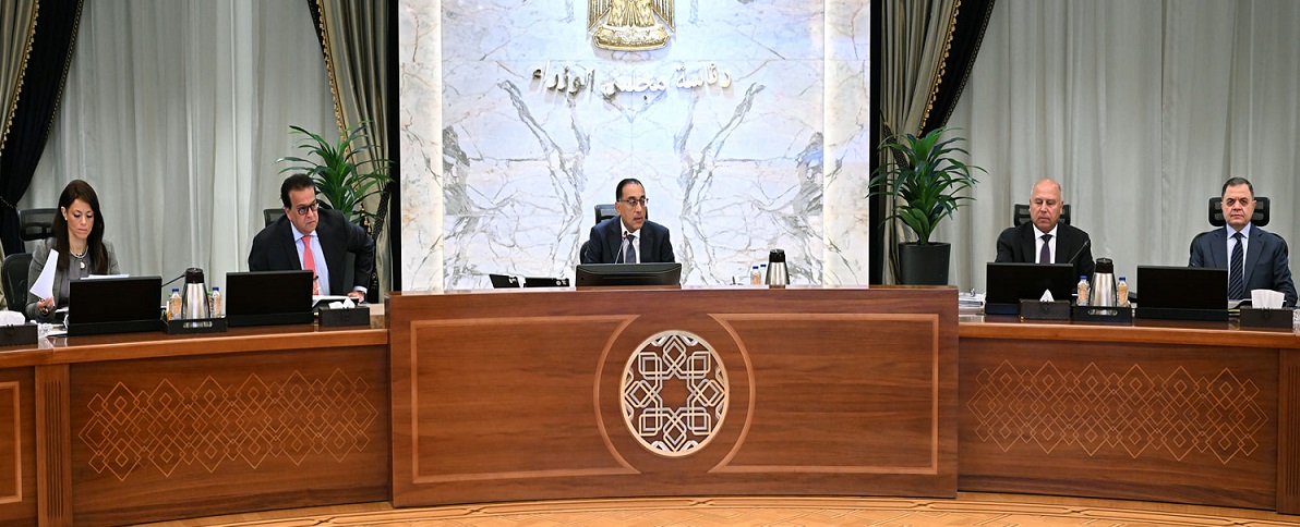 قرار حكومي بإنشاء المجلس الوطني لتوطين تكنولوجيا الرقائق والخلايا الشمسية
